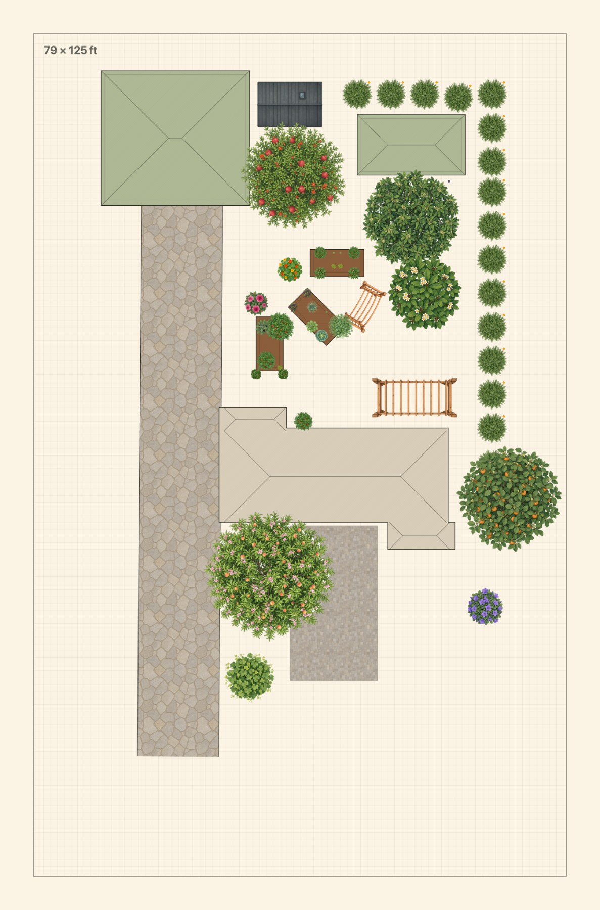Garden plan: Backyard Brainstorm -- SoCal Fruit Orchard + Raised Beds