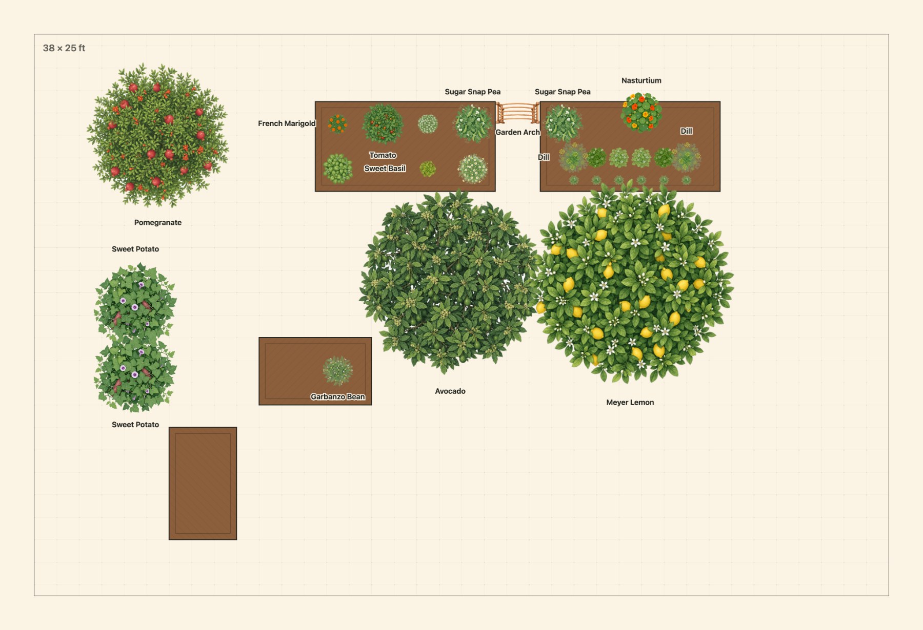 To-scale garden plan: Pomegranate + Lemon Tree Garden